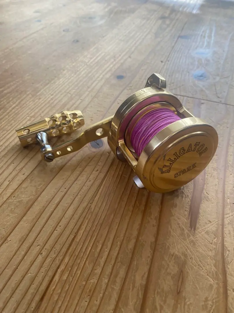 2026年最新】アリゲーター スパークの人気アイテム - メルカリ