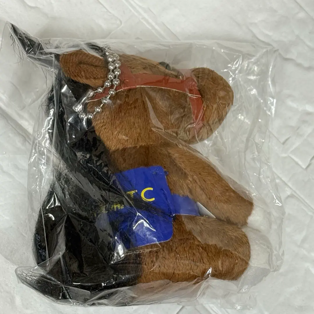 2026年最新】美浦トレセンの人気アイテム - メルカリ