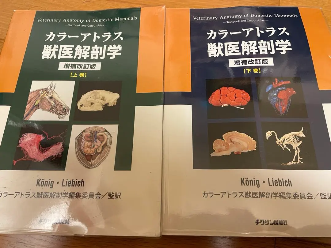 2026年最新】カラーアトラス獣医解剖学〈下巻〉の人気アイテム - メルカリ
