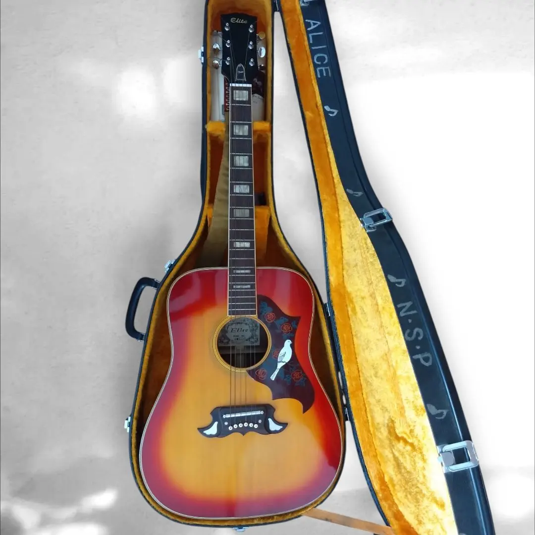 2026年最新】takamine eliteの人気アイテム - メルカリ