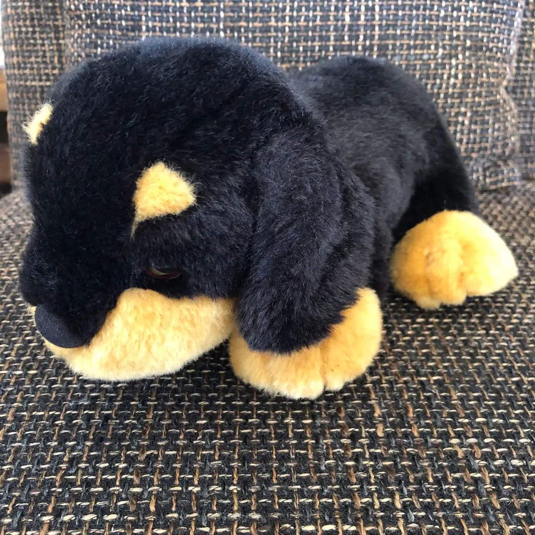 2026年最新】ANIMAL alleyの人気アイテム - メルカリ