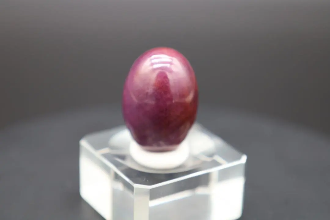 2026年最新】シバリンガムの人気アイテム - メルカリ