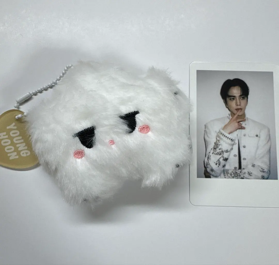 2026年最新】theboyz ヨンフン ぬいぐるみの人気アイテム - メルカリ