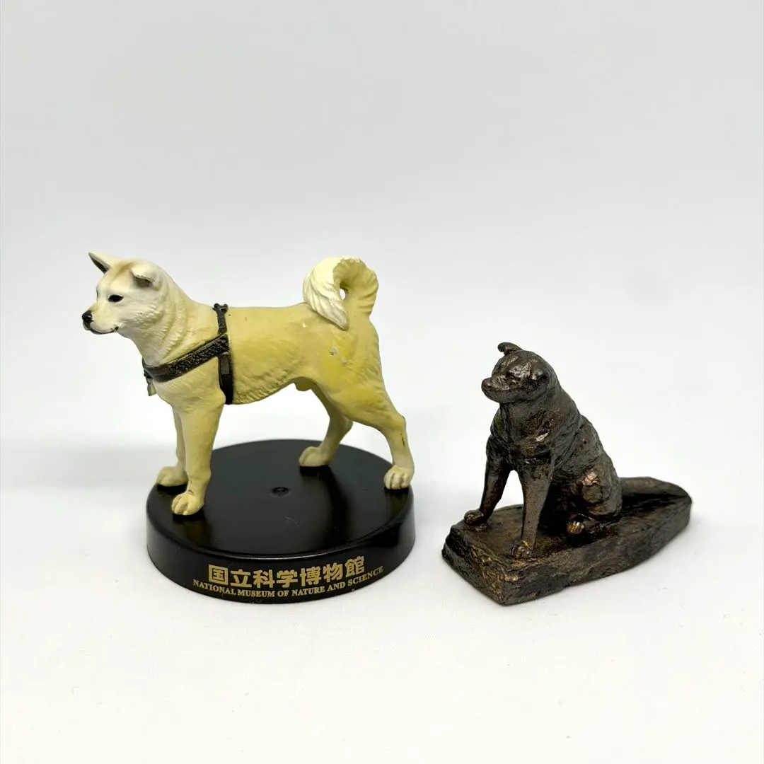 2026年最新】海洋堂 国立科学博物館の人気アイテム - メルカリ