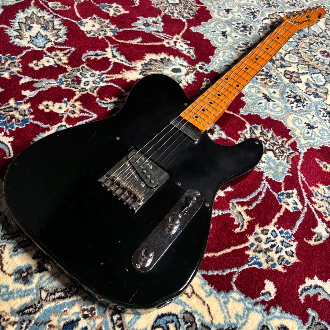 2026年最新】Bill Lawrence TRIGGER-IIの人気アイテム - メルカリ