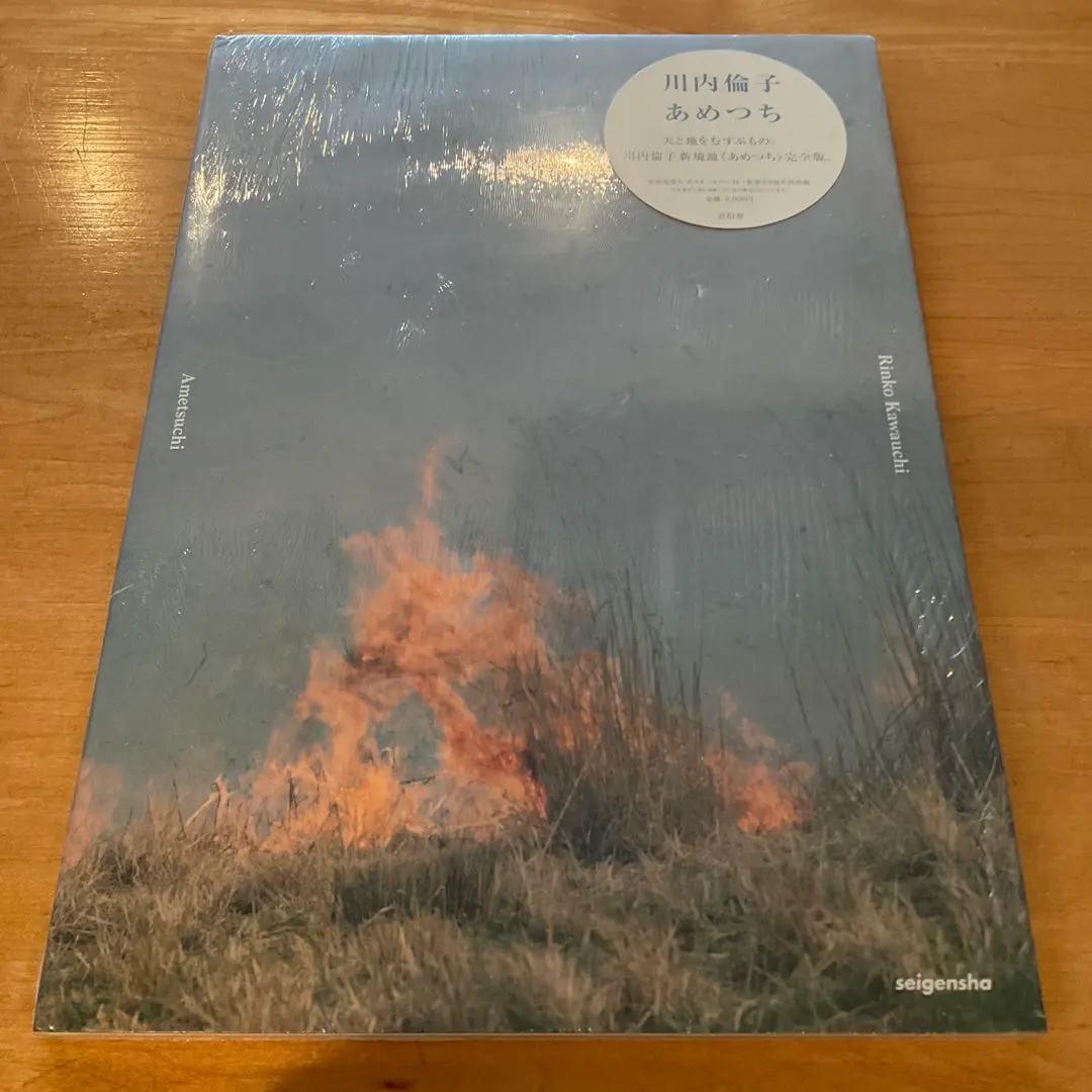 2026年最新】川内倫子 あめつちの人気アイテム - メルカリ