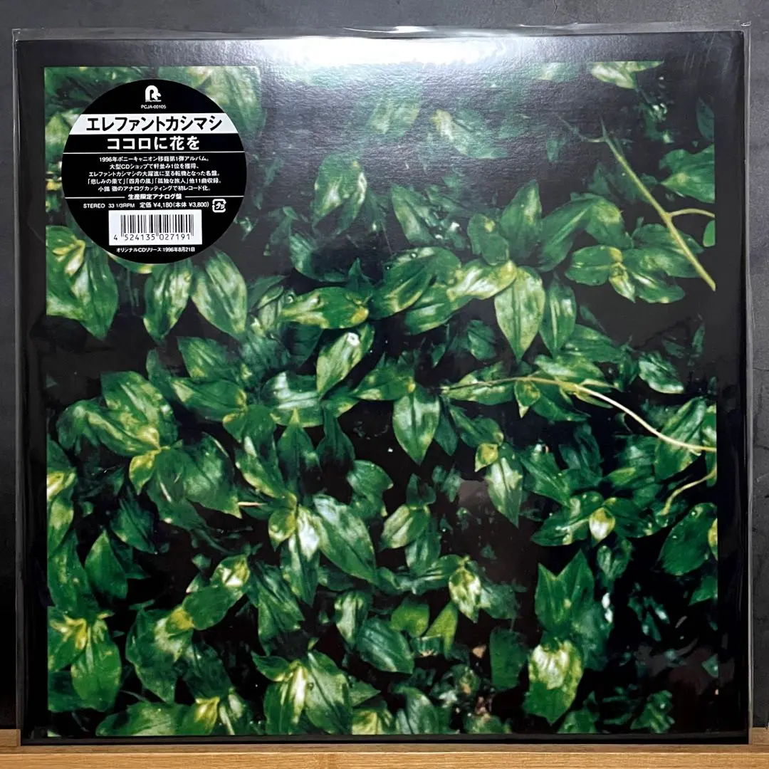 2026年最新】エレファントカシマシ アナログの人気アイテム - メルカリ