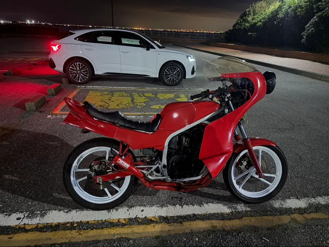 2026年最新】ヤシメガ xjrの人気アイテム - メルカリ