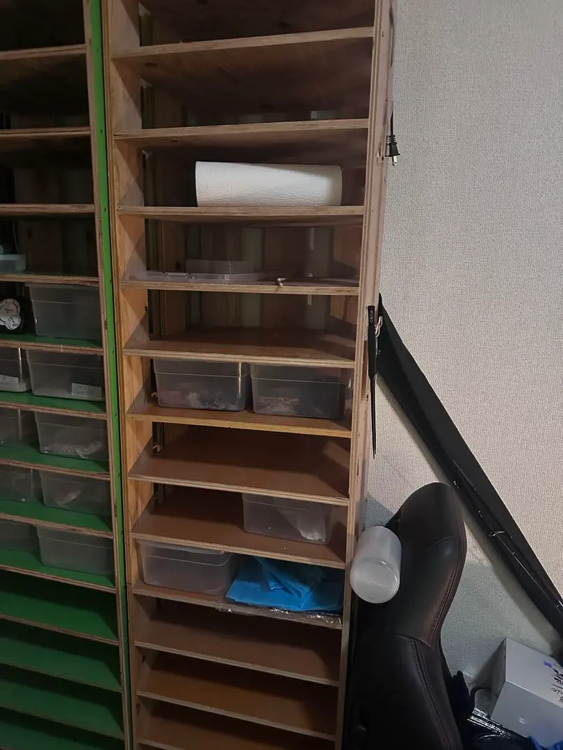 2026年最新】爬虫類シューズケースの人気アイテム - メルカリ