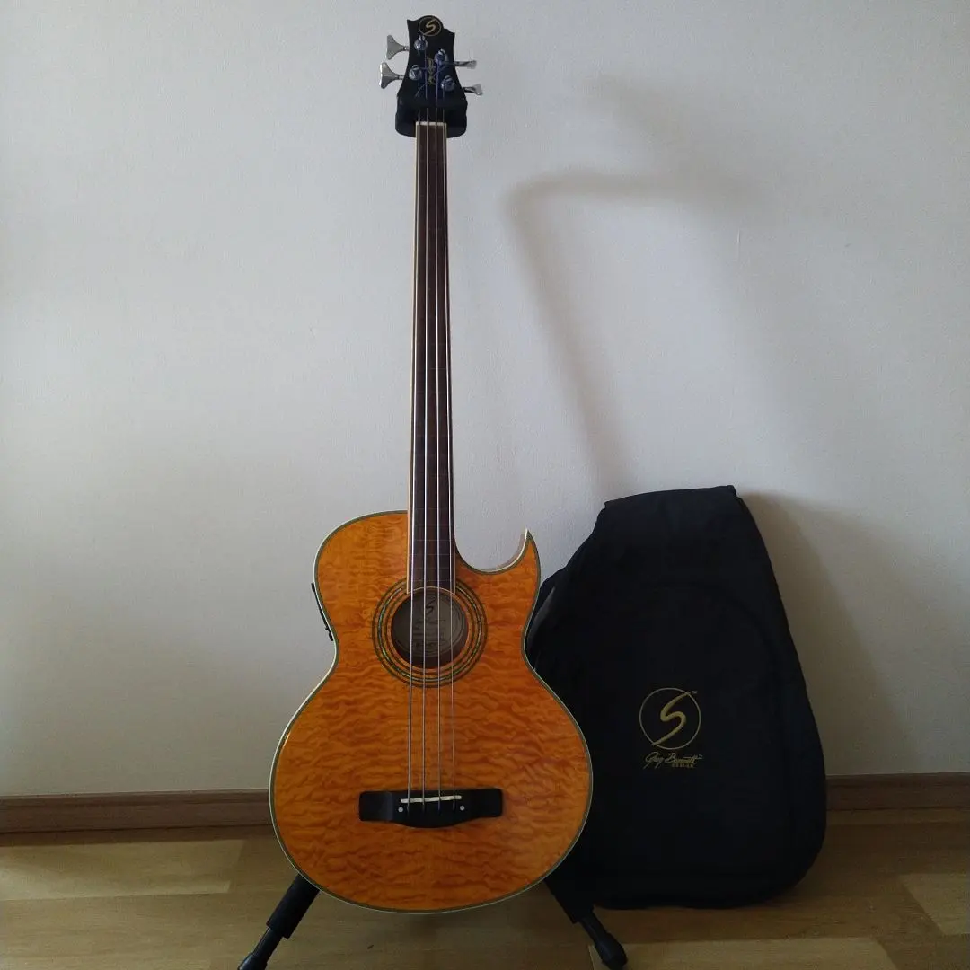 2026年最新】greg bennett ギターの人気アイテム - メルカリ