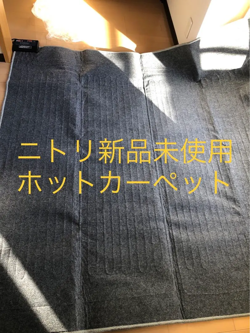 2026年最新】NITORI 畳数：2畳～3畳未満 ホットカーペット・マットの