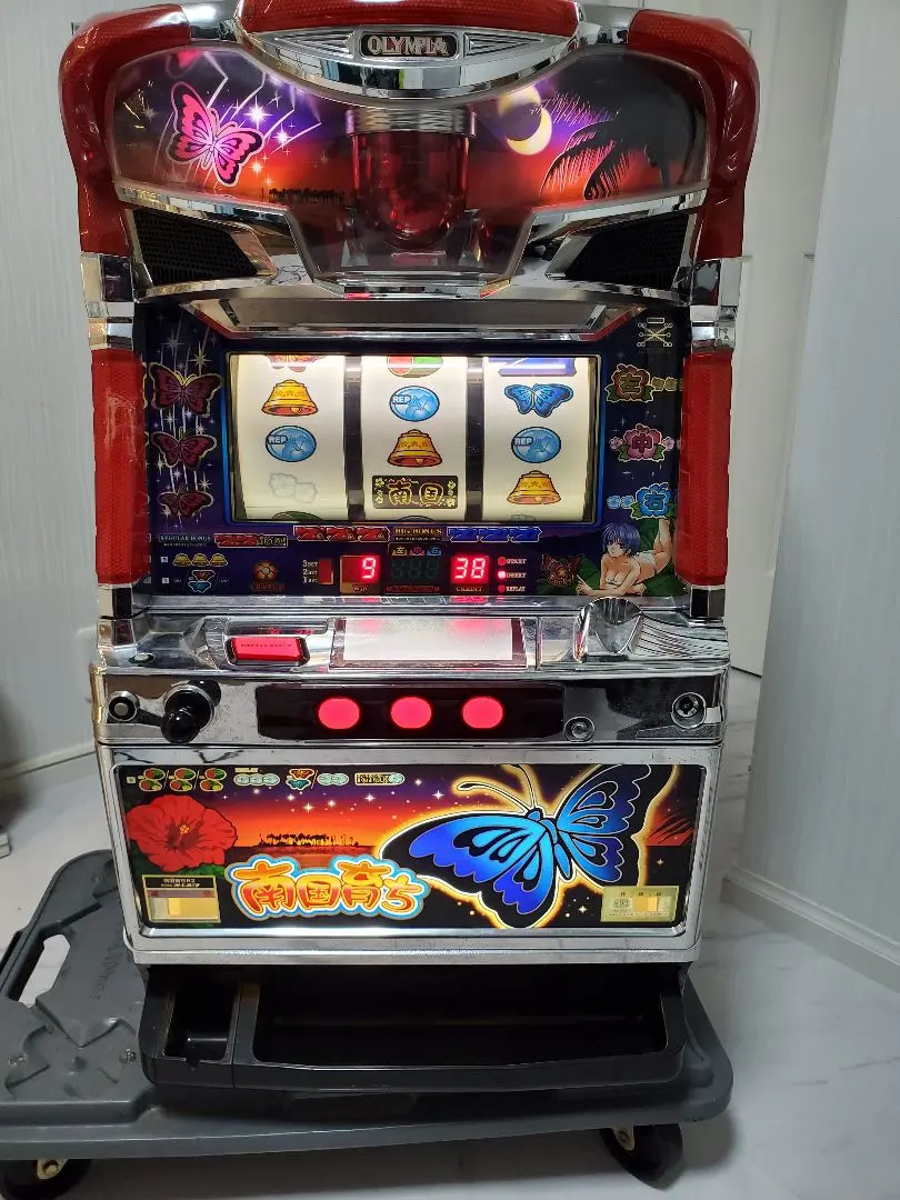 2026年最新】南国育ち 実機の人気アイテム - メルカリ