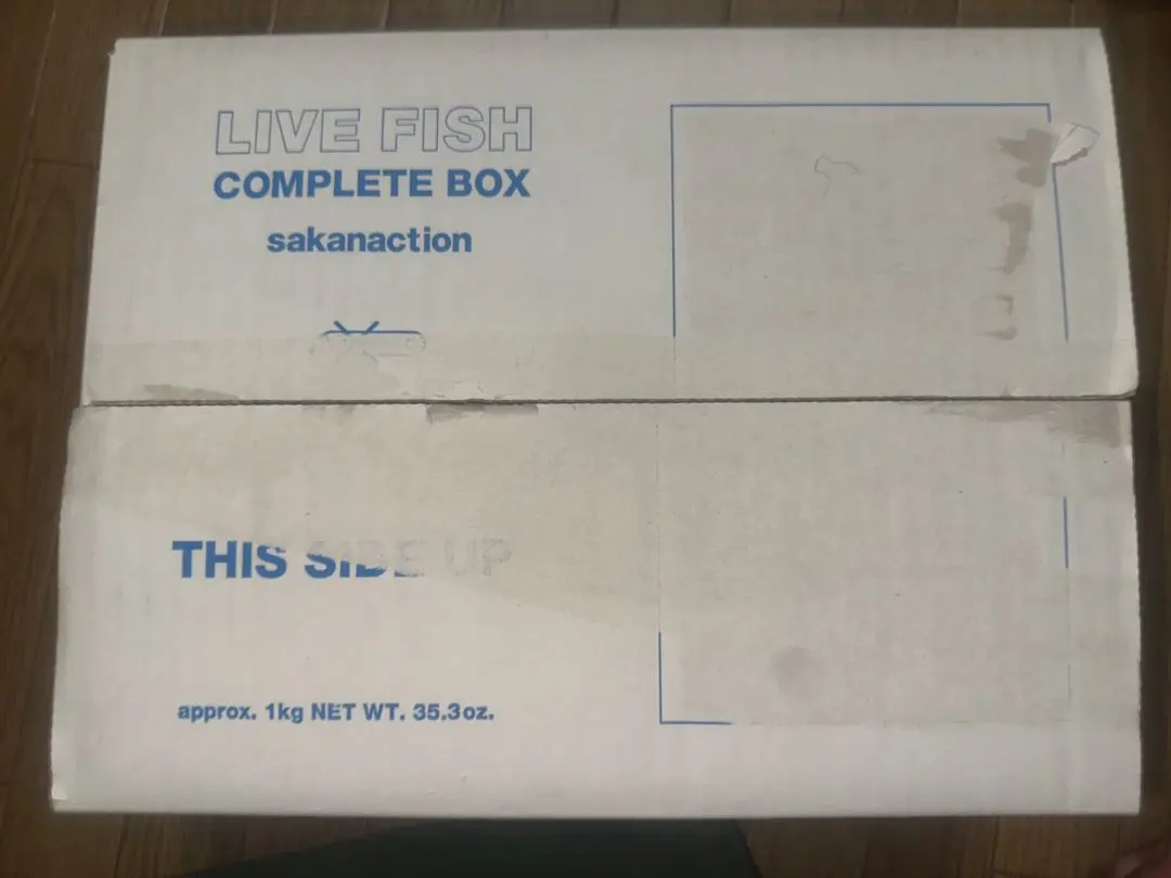 2026年最新】サカナクション live fishの人気アイテム - メルカリ