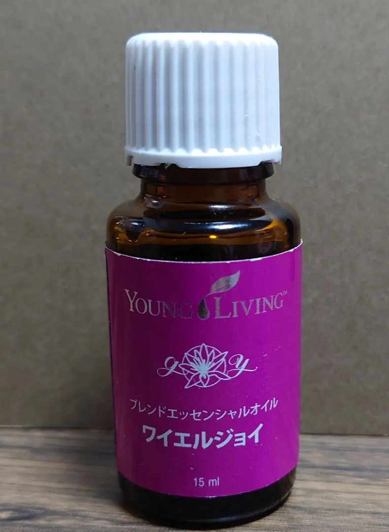 2026年最新】ワイエルジョイの人気アイテム - メルカリ