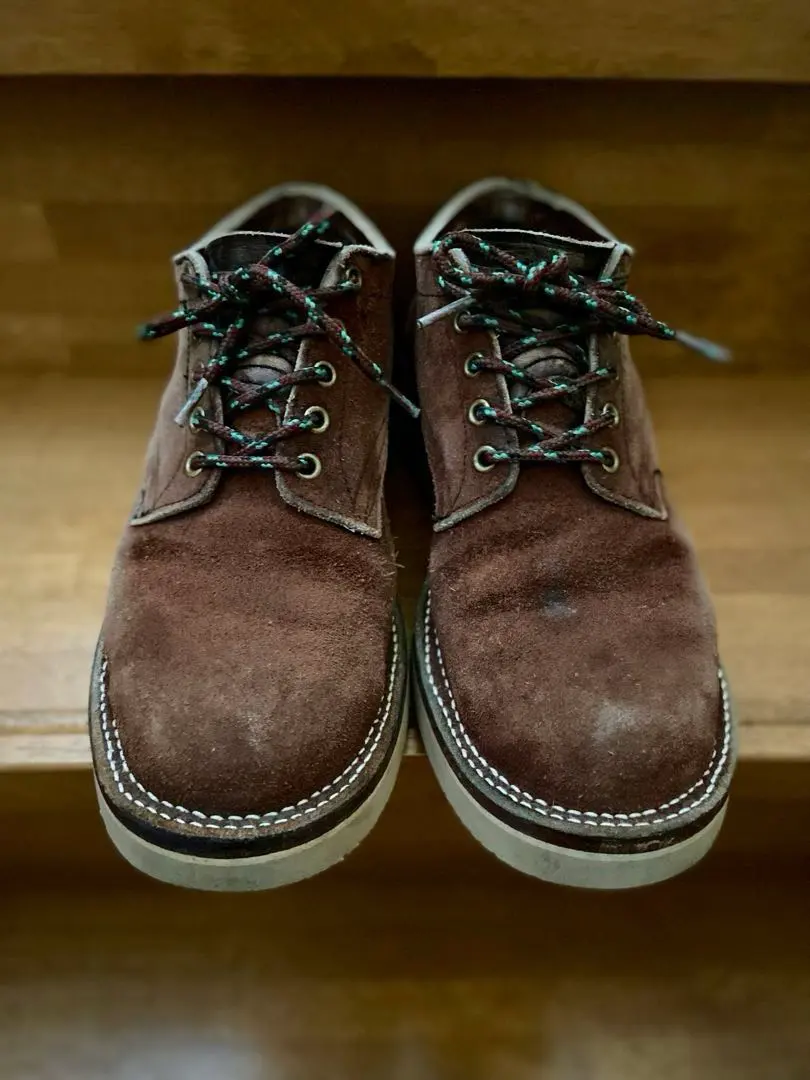 2026年最新】ハソーン ネペンテスの人気アイテム - メルカリ