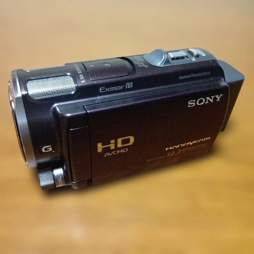 2026年最新】hdr-cx590の人気アイテム - メルカリ