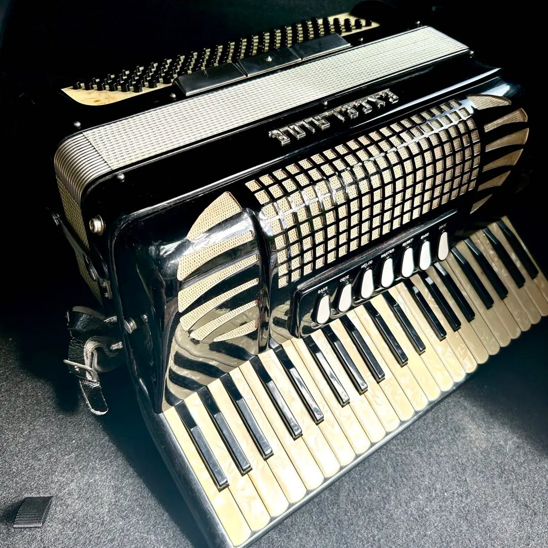2026年最新】アコーディオン excelsiorの人気アイテム - メルカリ