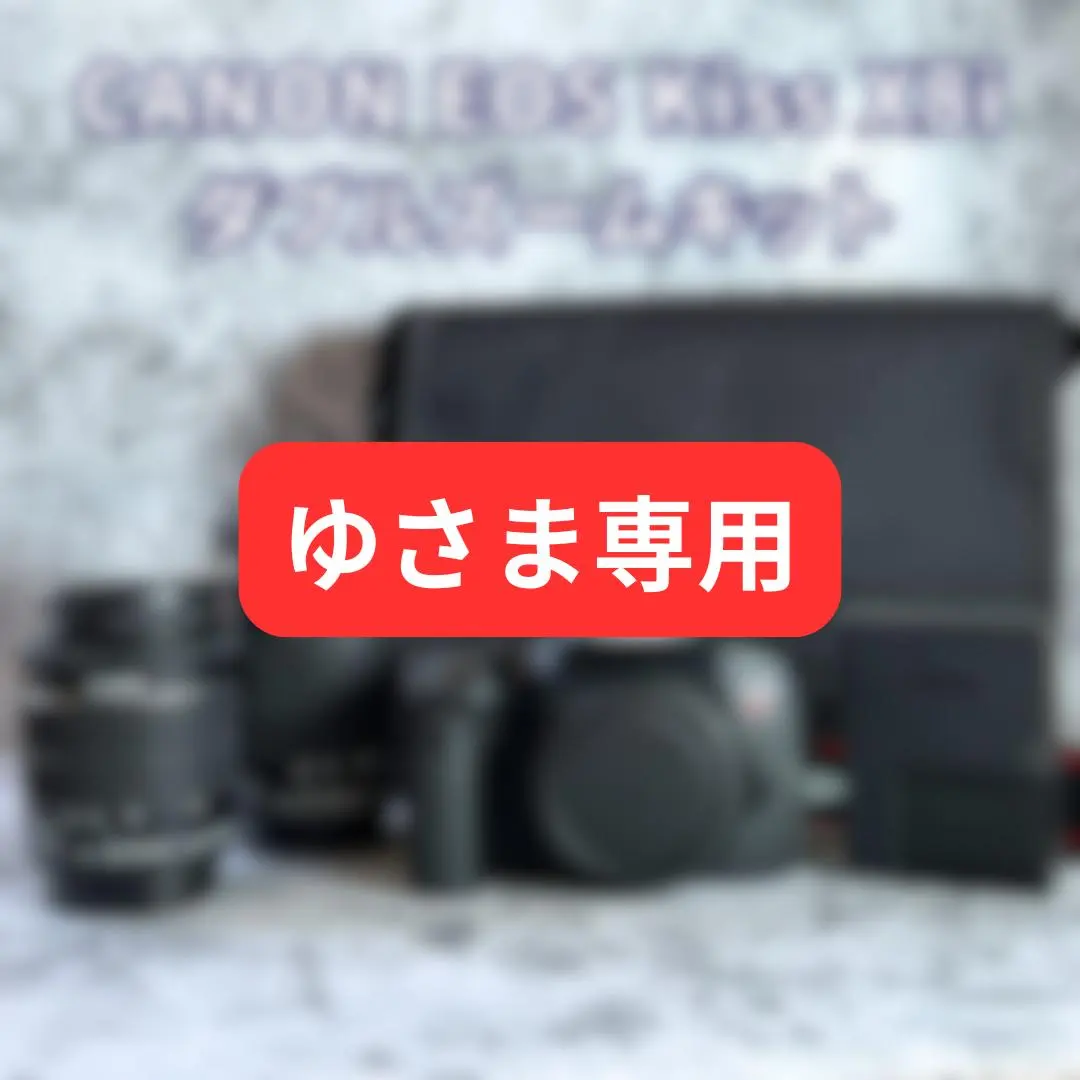 2026年最新】canon eos kiss x8i ダブル ズーム キット 中古の人気