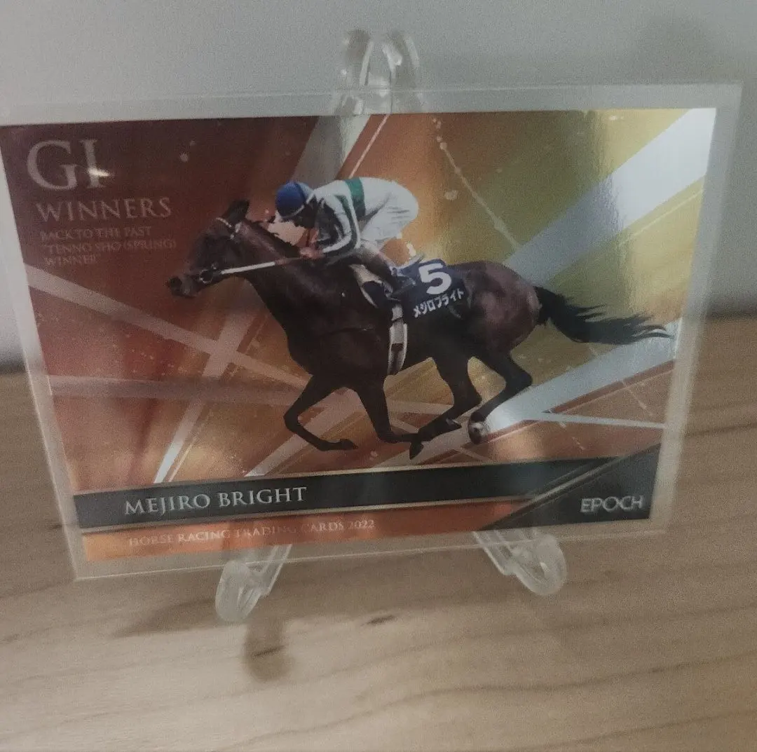 2026年最新】ホースレーシング インサートの人気アイテム - メルカリ