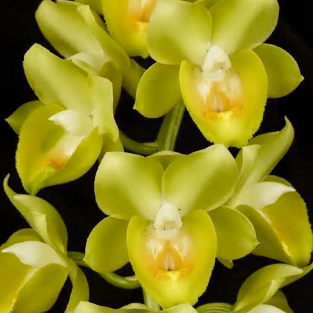 2026年最新】カタセタムの人気アイテム - メルカリ