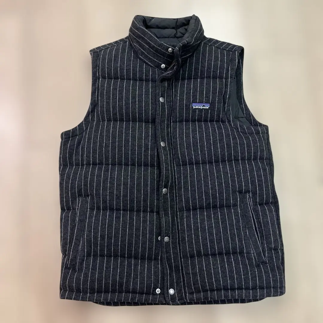 2026年最新】パタゴニア ダウンベスト ストライプの人気アイテム