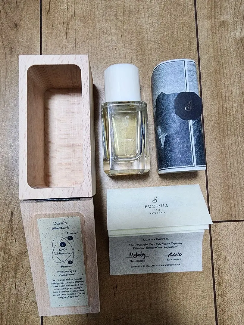 2026年最新】フエギア ダーウィンの人気アイテム - メルカリ