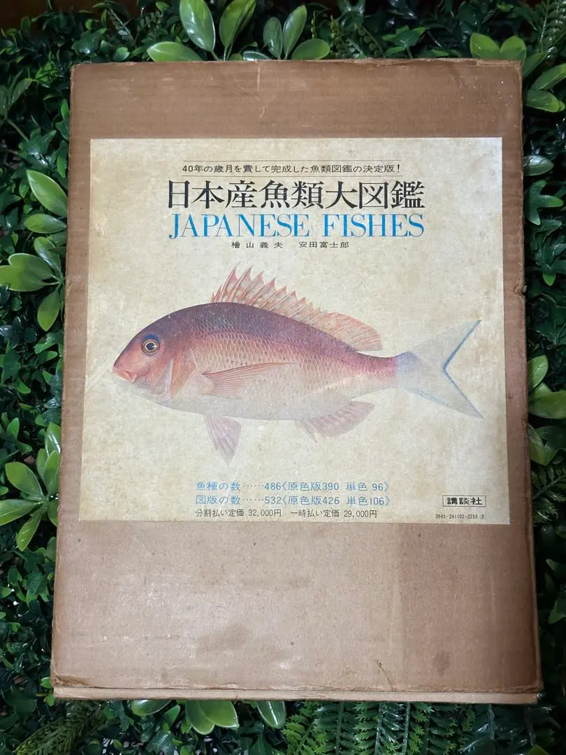 2026年最新】日本産魚類大図鑑の人気アイテム - メルカリ