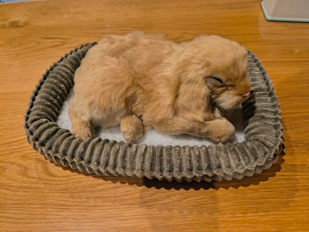 2026年最新】パーフェクトペットの人気アイテム - メルカリ