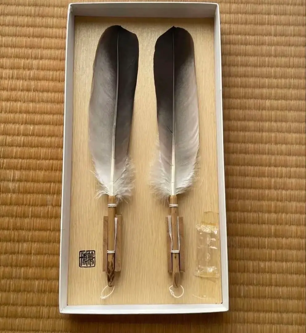 2026年最新】三 羽箒 羽の人気アイテム - メルカリ