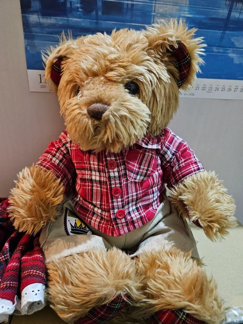 2026年最新】ビルドアベア テディベアの人気アイテム - メルカリ