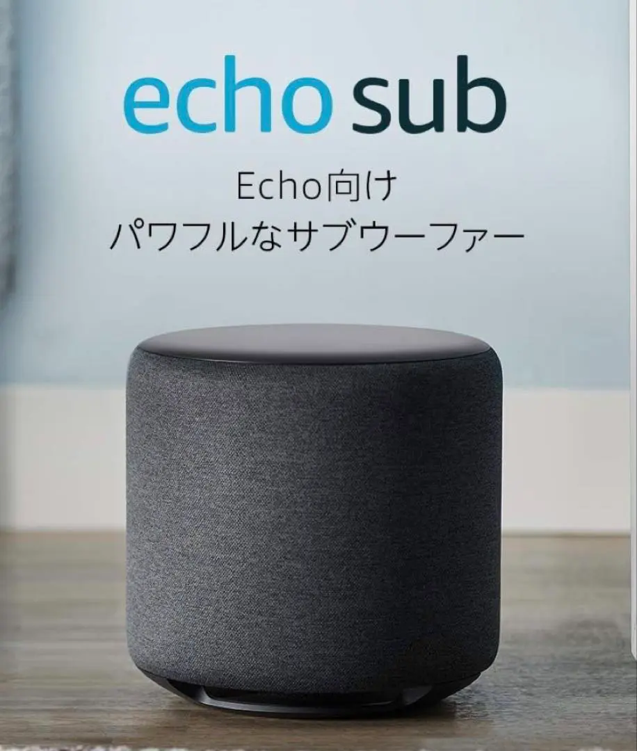 2026年最新】 ECHO subの人気アイテム - メルカリ