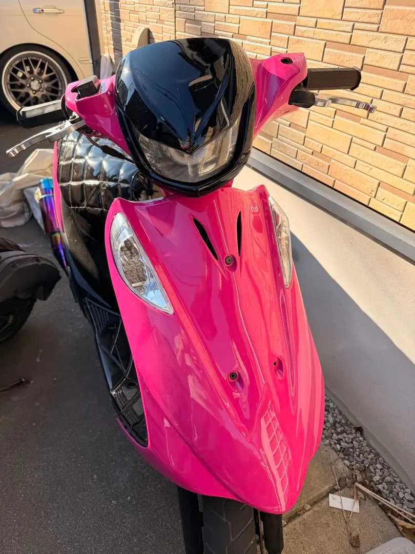 m92379969362_1.jpg?1767239605