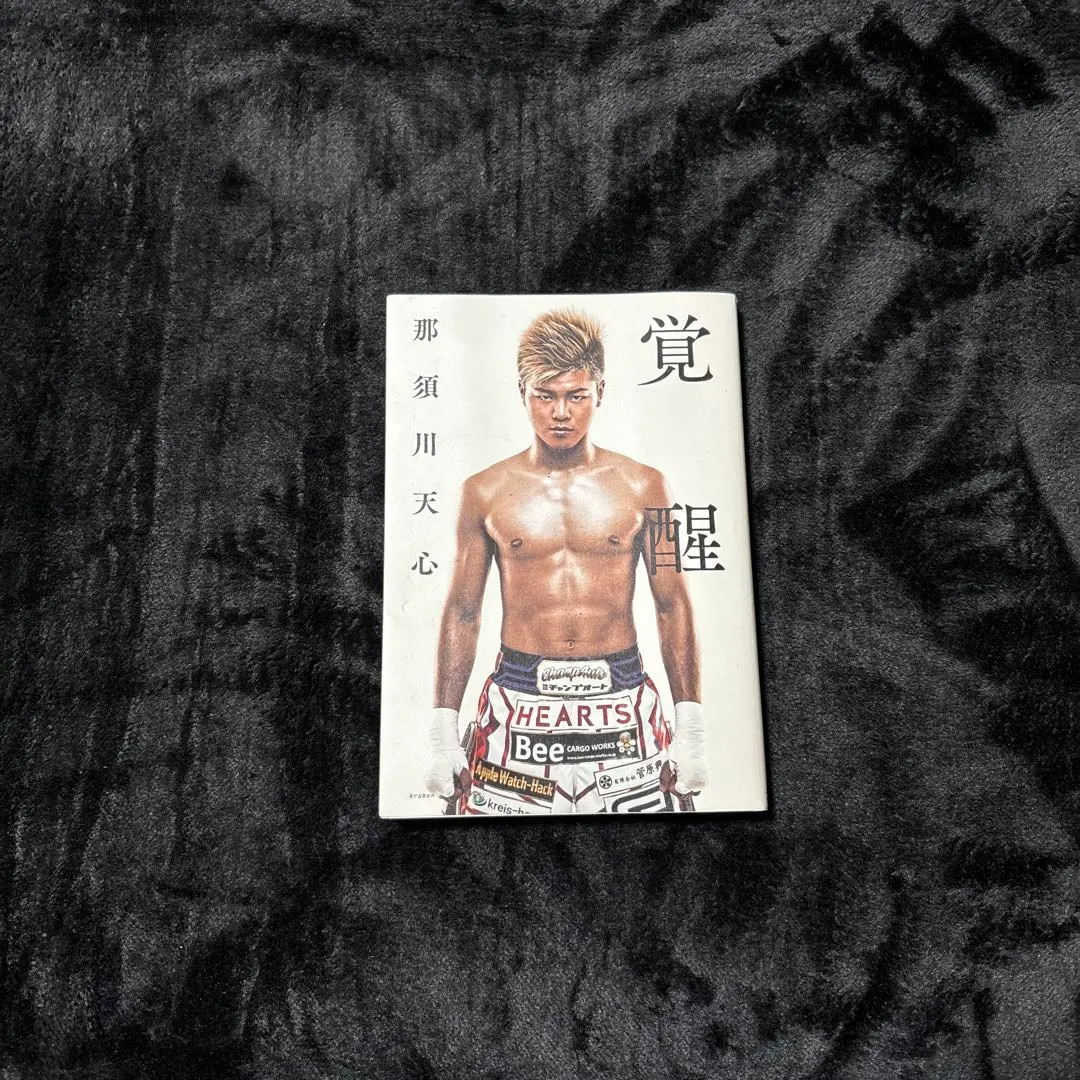 2026年最新】那須川天心 本の人気アイテム - メルカリ