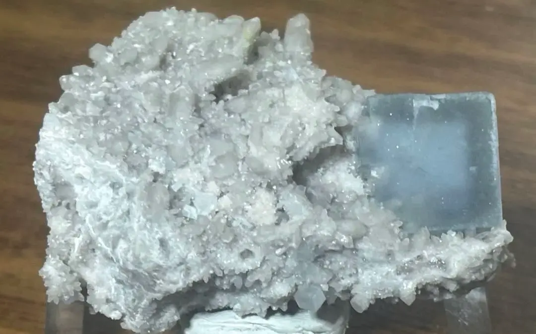 2026年最新】ポーセリン フローライトの人気アイテム - メルカリ