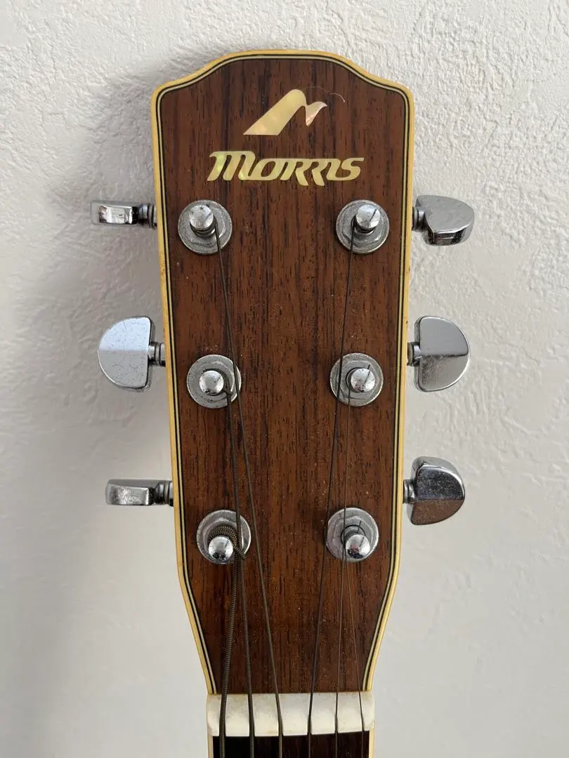 2026年最新】rumbler モーリス ギターの人気アイテム - メルカリ