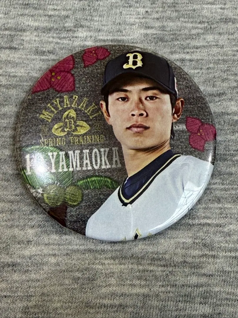 m96065847341_1.jpg?1771562005