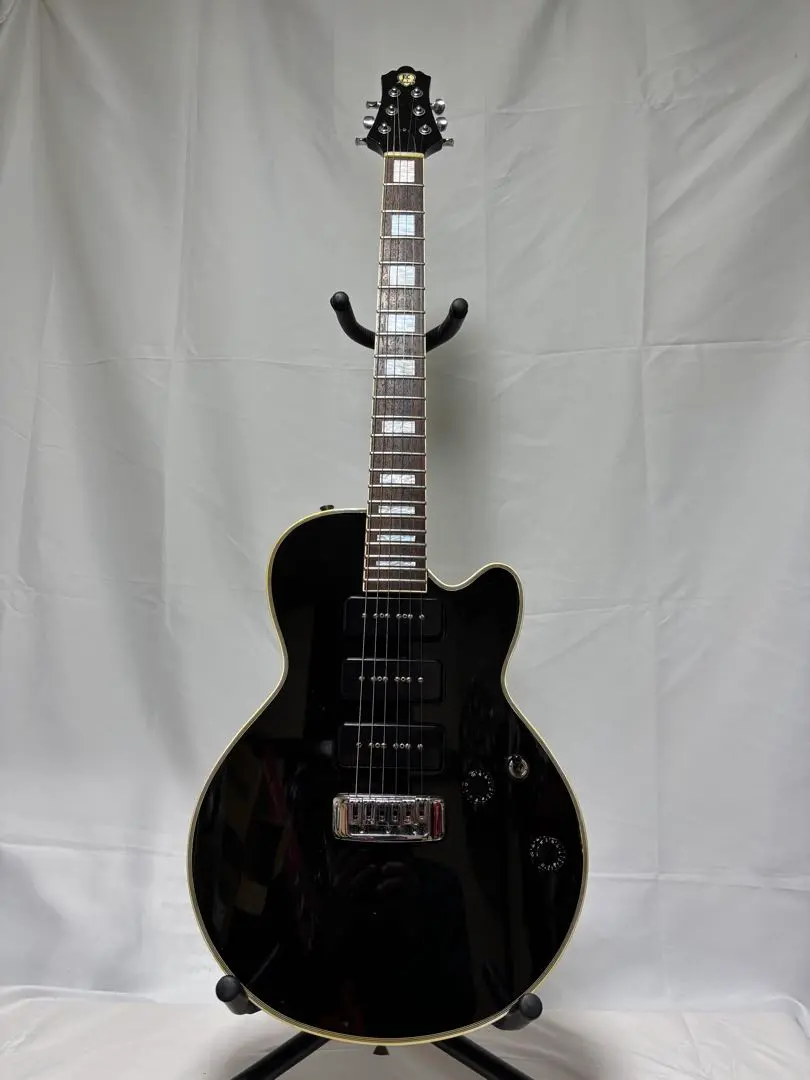 2026年最新】エレキギター ANBOYの人気アイテム - メルカリ