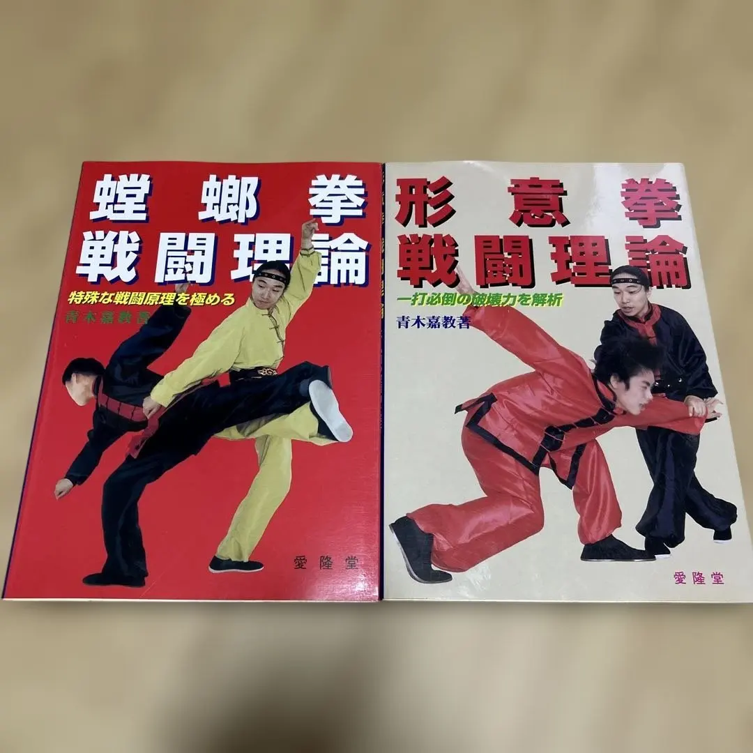 2026年最新】形意拳の人気アイテム - メルカリ