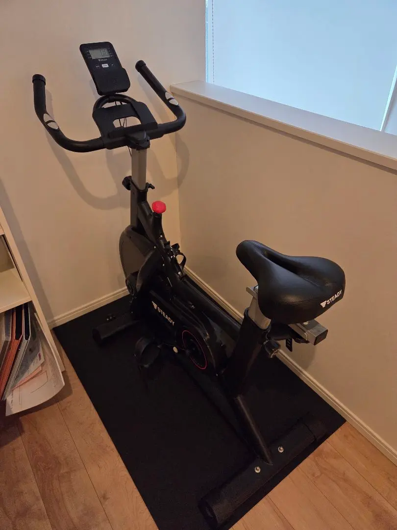 2026年最新】エアロバイク steadyの人気アイテム - メルカリ