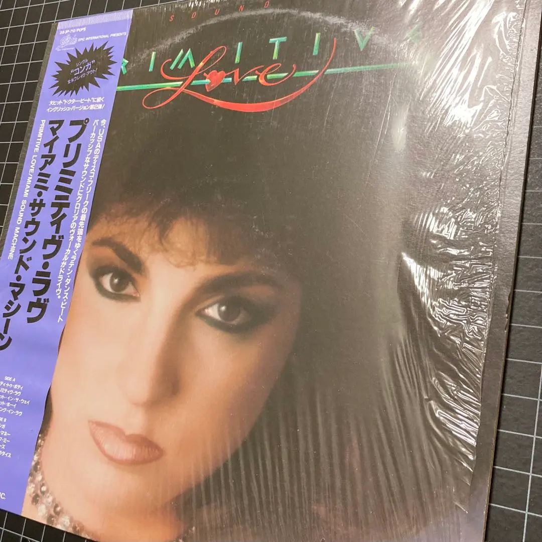 2026年最新】グロリア・エステファン_マイアミ・サウンド・マシーンの