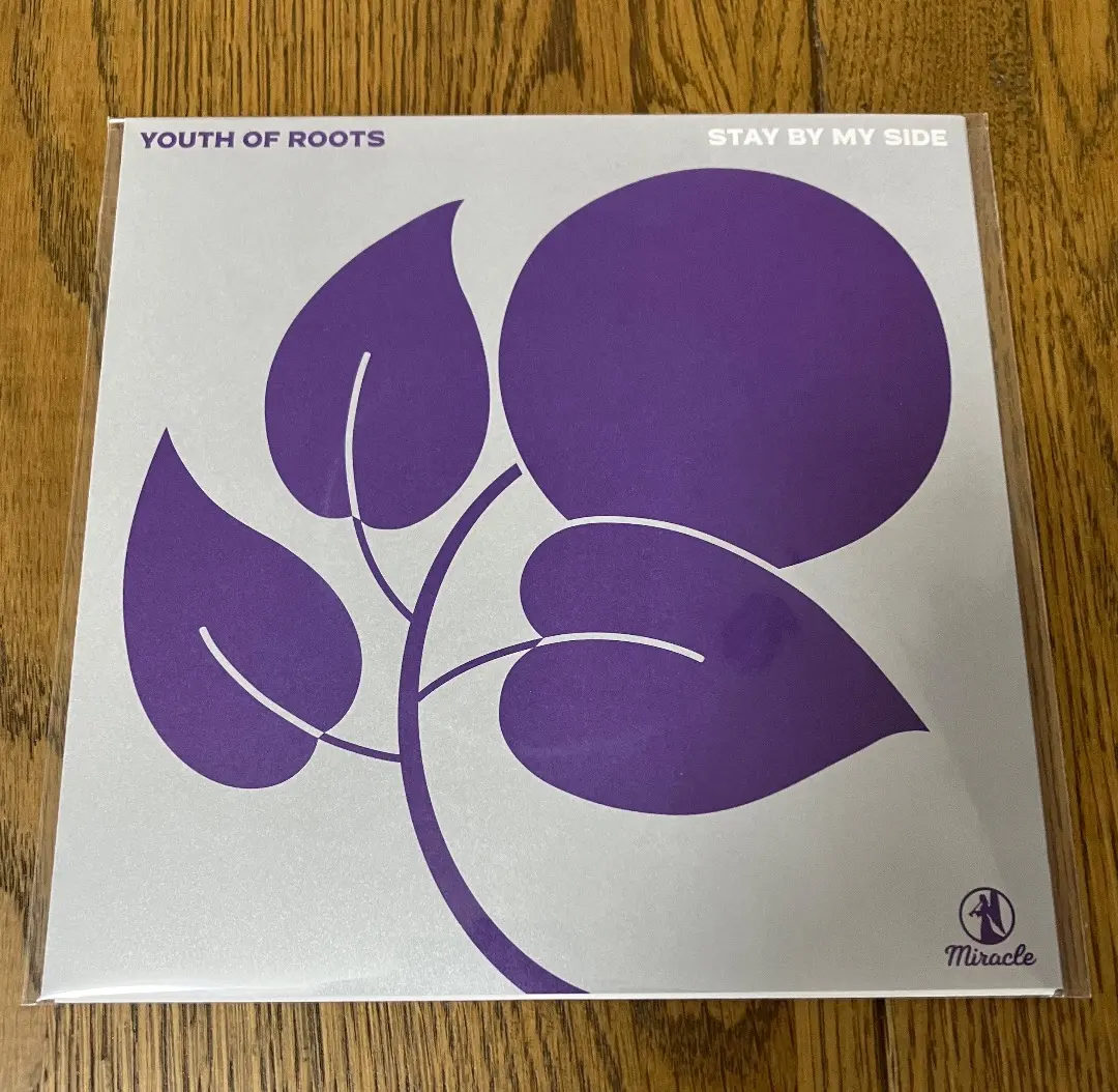 2026年最新】youth of roots レコードの人気アイテム - メルカリ