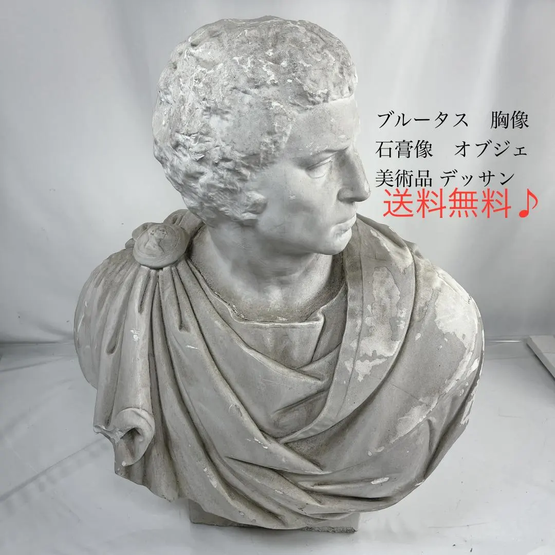 2026年最新】石膏像 ブルータスの人気アイテム - メルカリ