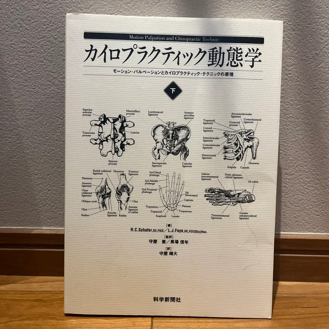 2026年最新】モーションパルペーションの人気アイテム - メルカリ