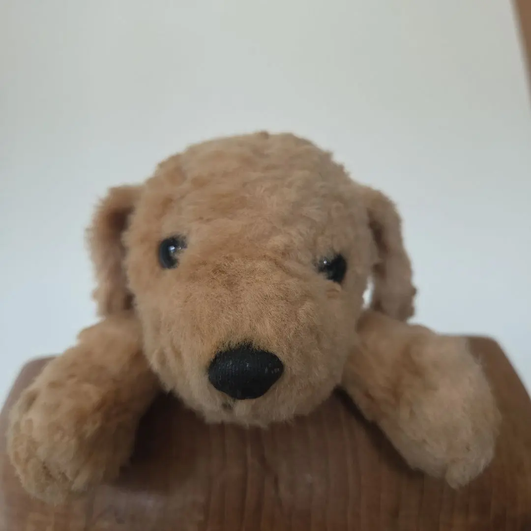 2026年最新】como＆rayの人気アイテム - メルカリ