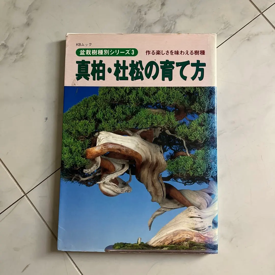 2026年最新】杜松 盆栽の人気アイテム - メルカリ