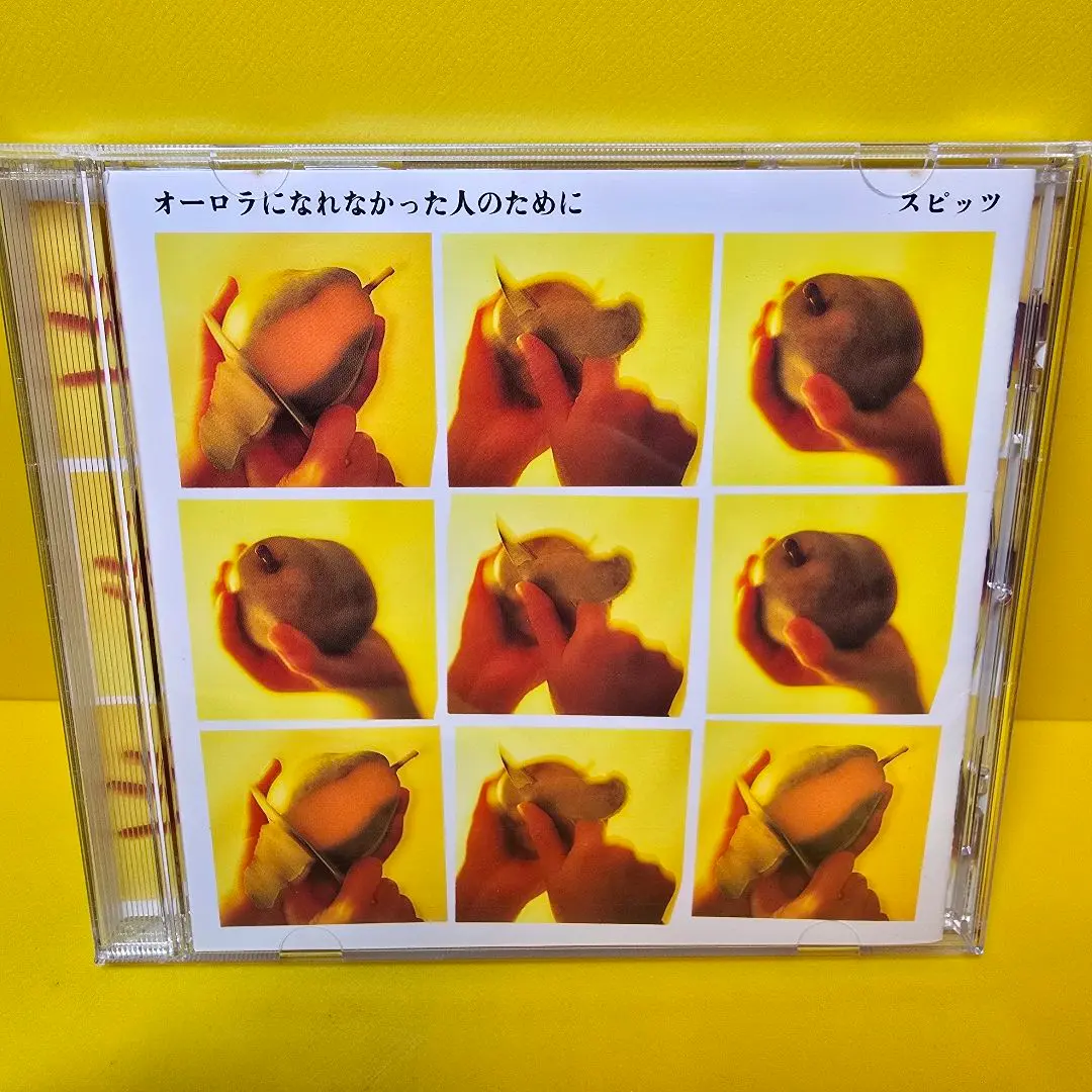 2026年最新】オーロラになれなかった人のために の人気アイテム - メルカリ