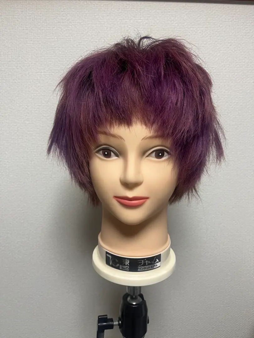 2026年最新】東京チャーム カットウィッグの人気アイテム - メルカリ