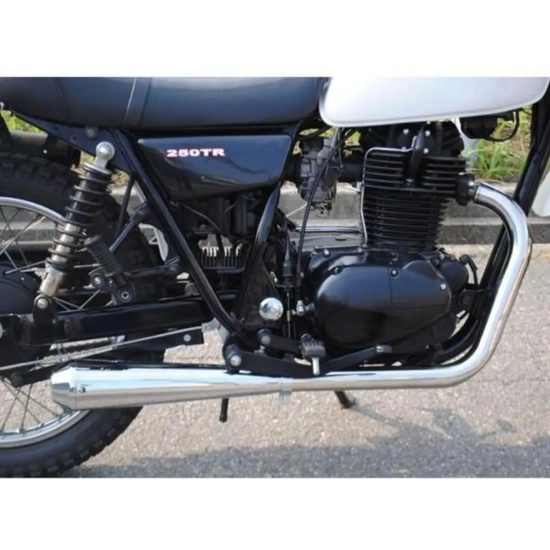 2026年最新】250TR 純正マフラーの人気アイテム - メルカリ