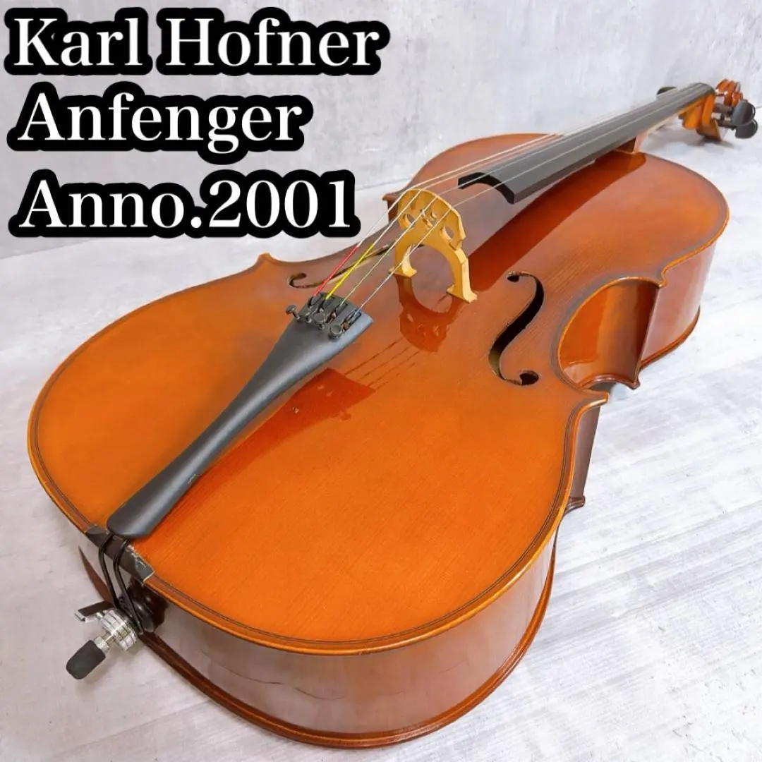 2026年最新】KARL HOFNER カールヘフナーの人気アイテム - メルカリ