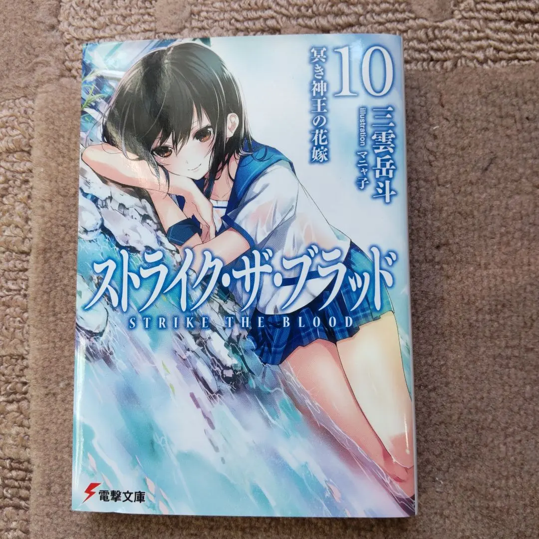 2026年最新】ストライク・ザ・ブラッド10 冥き神王の花嫁の人気
